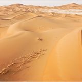 Fotogalerie: Kunstwerk Erde - Bild 10