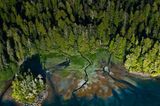 Clayoquot Sound
