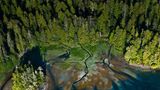 Clayoquot Sound