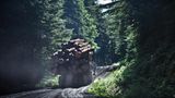 "War of the Woods"