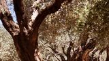Fotogalerie: Jerusalem - Bild 2