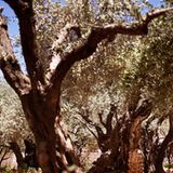 Fotogalerie: Jerusalem - Bild 2