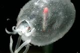 Fotogalerie: Kraken - Bild 6