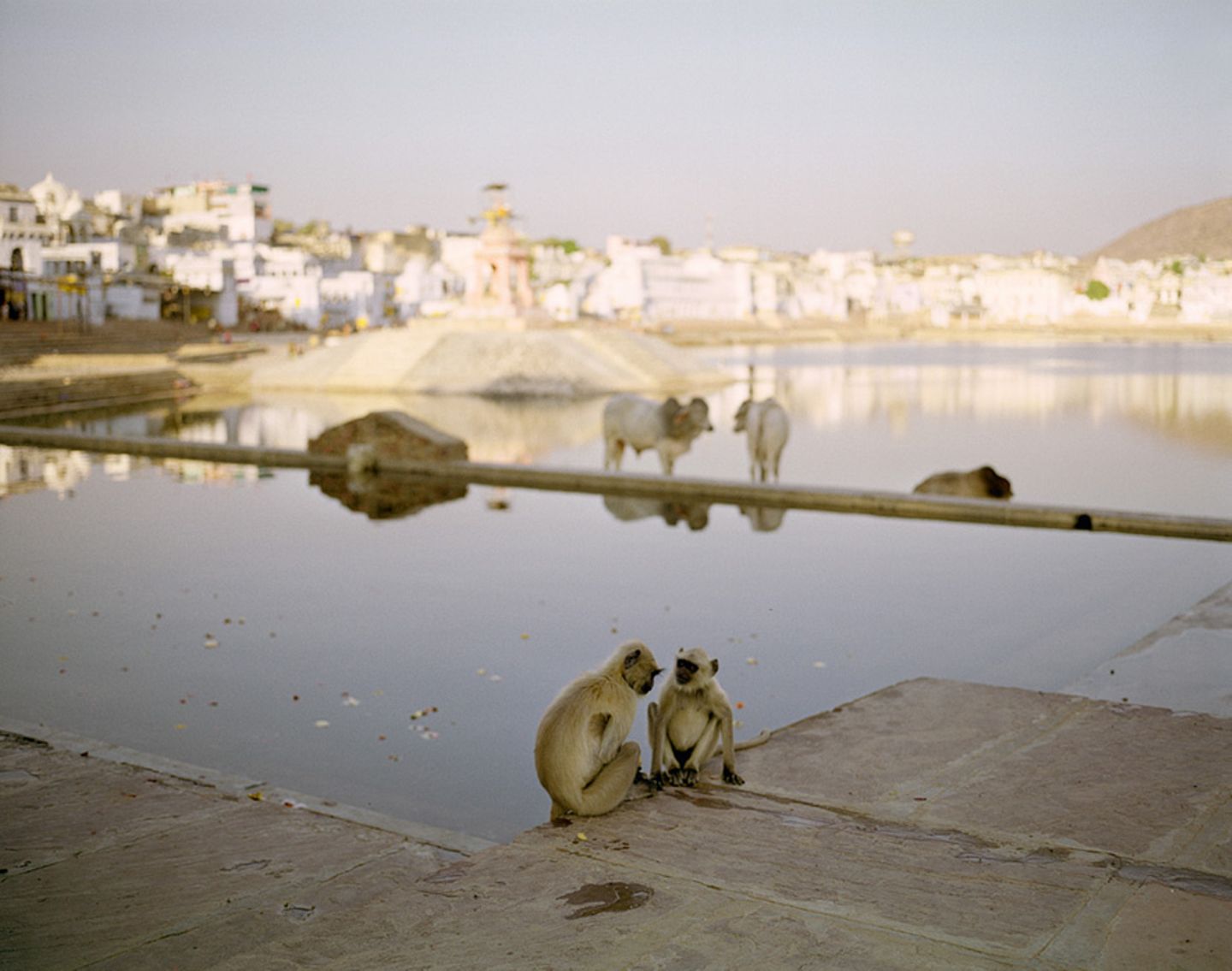 Fotogalerie: Momentaufnahme Indien - Bild 4