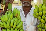 Fotogalerie: Momentaufnahme Indien - Bild 5