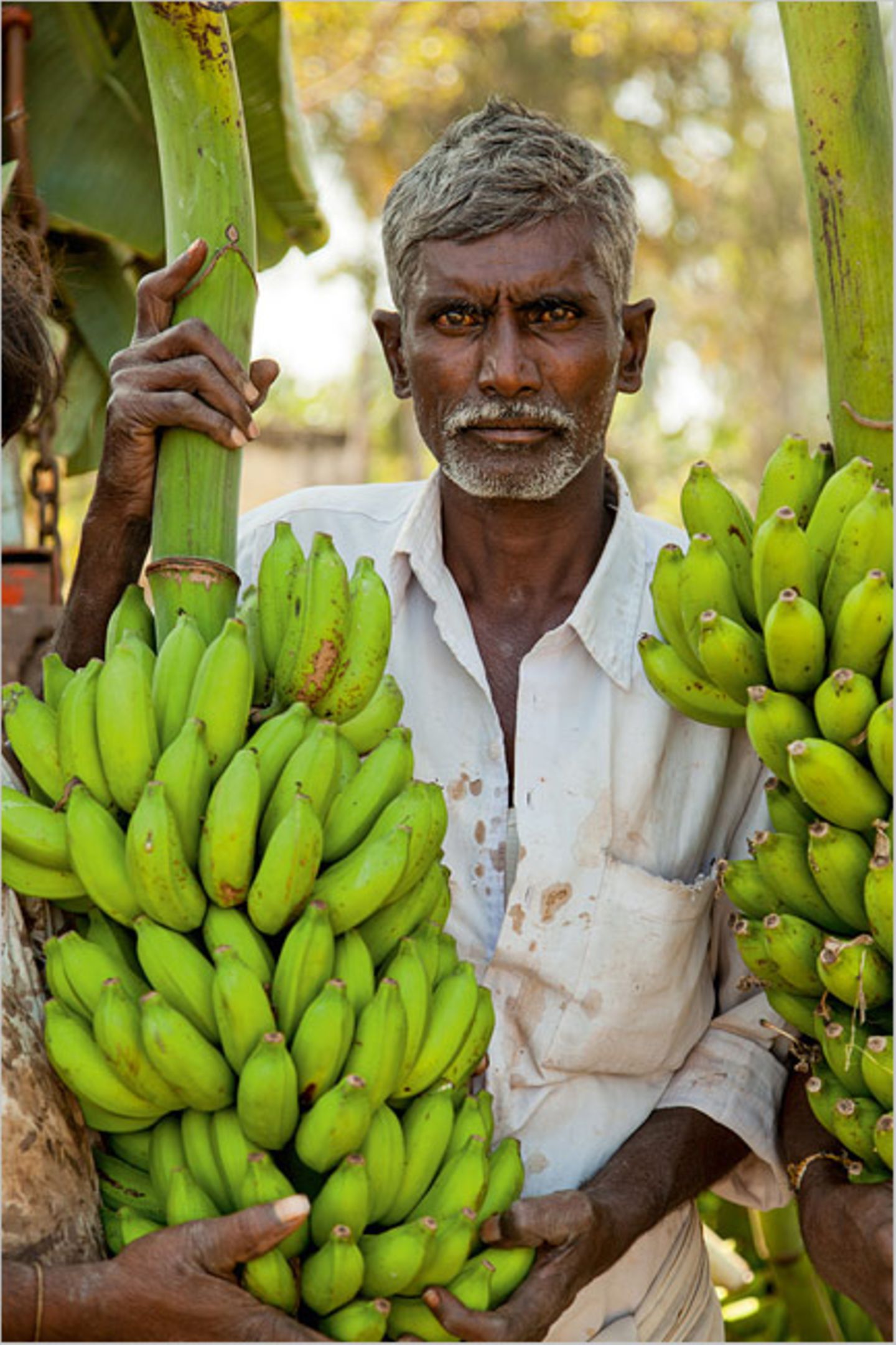 Fotogalerie: Momentaufnahme Indien - Bild 5