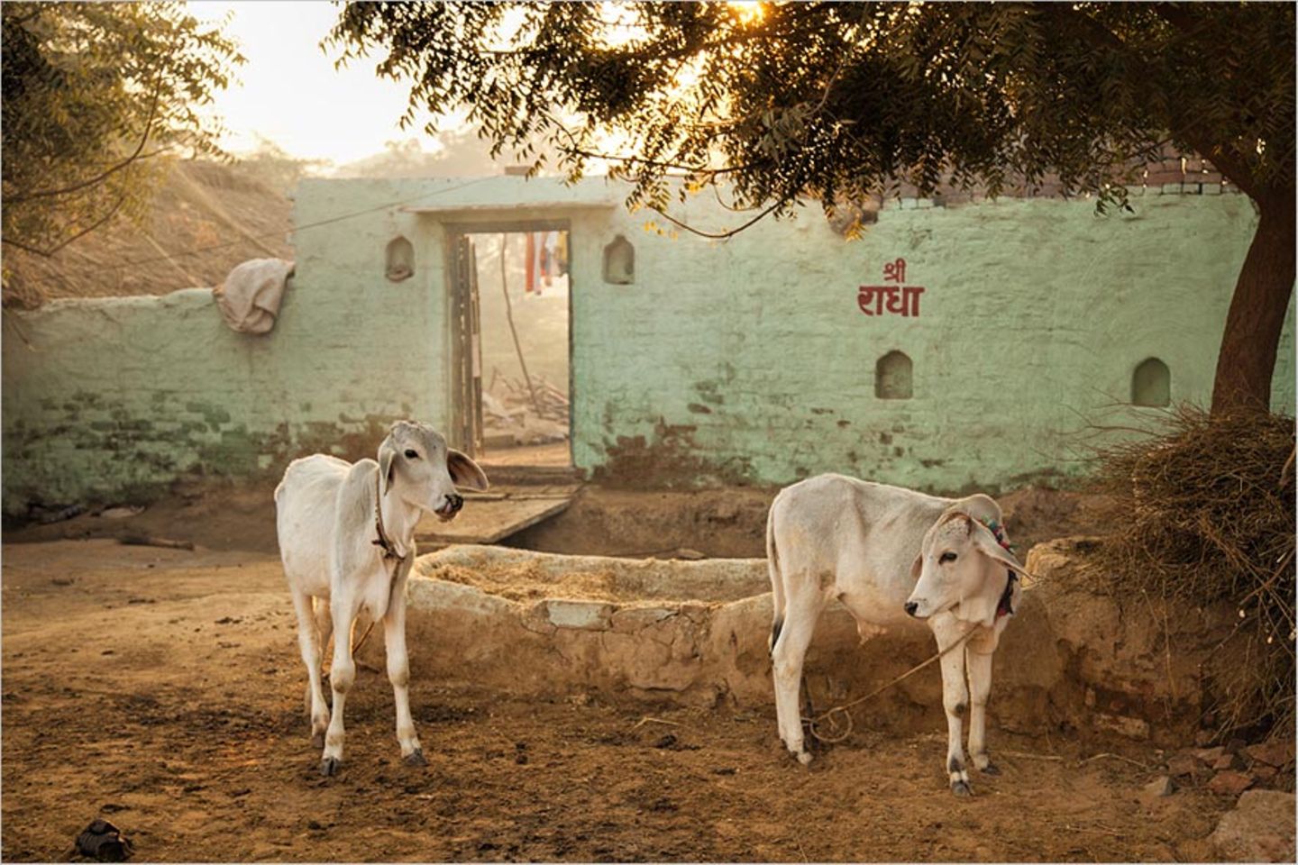 Fotogalerie: Momentaufnahme Indien - Bild 6