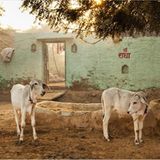 Fotogalerie: Momentaufnahme Indien - Bild 6