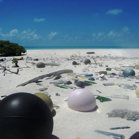 Umweltverschmutzung: Ein Meer von Plastikmüll