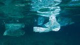 Umweltverschmutzung: Ein Meer von Plastikmüll - Bild 2