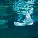 Umweltverschmutzung: Ein Meer von Plastikmüll - Bild 2