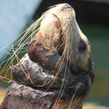 Umweltverschmutzung: Ein Meer von Plastikmüll - Bild 4