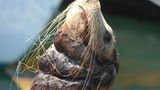 Umweltverschmutzung: Ein Meer von Plastikmüll - Bild 4