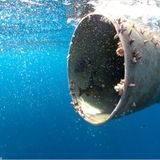 Umweltverschmutzung: Ein Meer von Plastikmüll - Bild 5