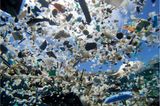 Umweltverschmutzung: Ein Meer von Plastikmüll - Bild 6