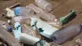 Umweltverschmutzung: Ein Meer von Plastikmüll - Bild 8