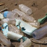 Umweltverschmutzung: Ein Meer von Plastikmüll - Bild 8