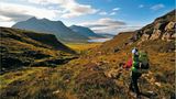 Wildnis in Großbritannien
