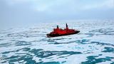 Fotogalerie: Abenteuer Expeditionskreuzfahrt