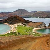 Fotogalerie: Abenteuer Expeditionskreuzfahrt - Bild 2