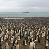 Fotogalerie: Abenteuer Expeditionskreuzfahrt - Bild 5