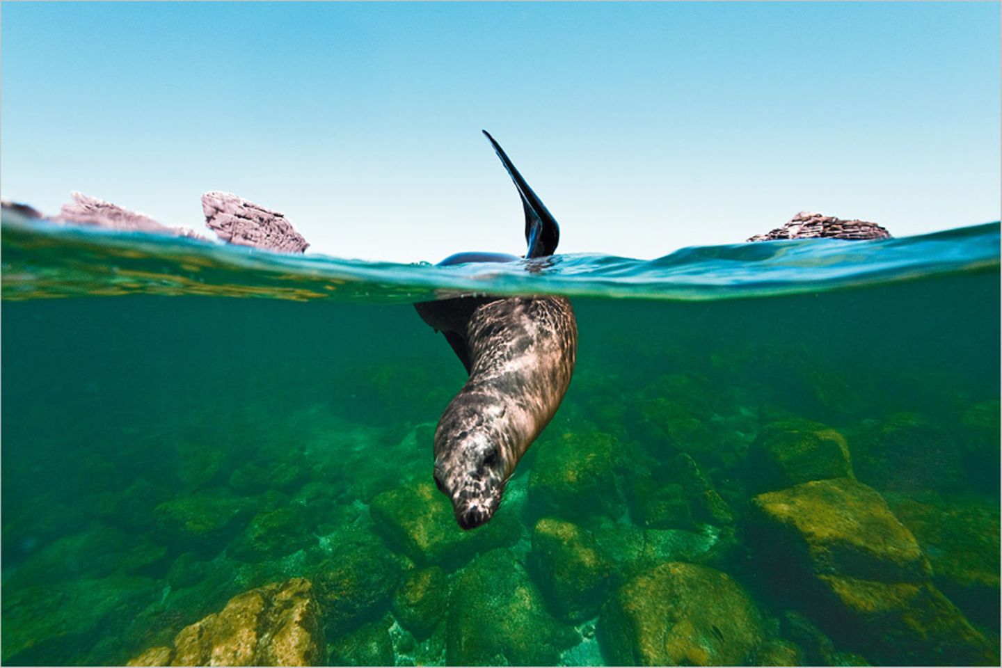 Fotogalerie: Abenteuer Expeditionskreuzfahrt - Bild 6