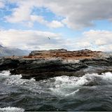 Fotogalerie: Abenteuer Expeditionskreuzfahrt - Bild 8