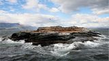 Fotogalerie: Abenteuer Expeditionskreuzfahrt - Bild 8