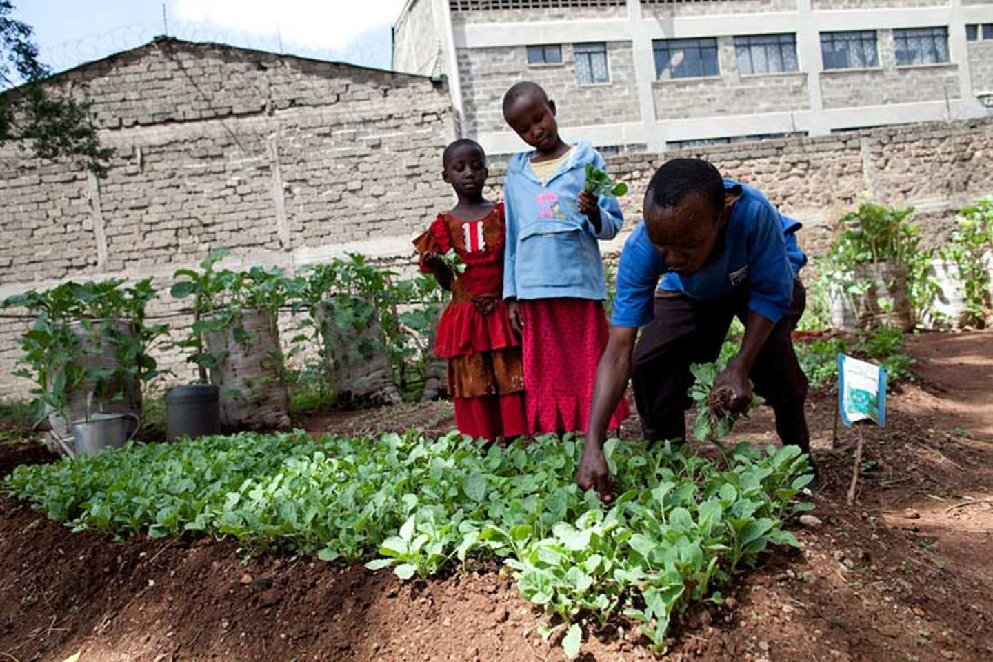 Unicef-Fotostrecke: Die Oase im Slum - Bild 6