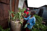 Unicef-Fotostrecke: Die Oase im Slum - Bild 10