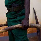 Artenschutzkonferenz: "Diese Konferenz ist historisch" - Bild 4