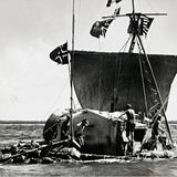 Kon-Tiki