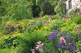 Mein Naturgarten