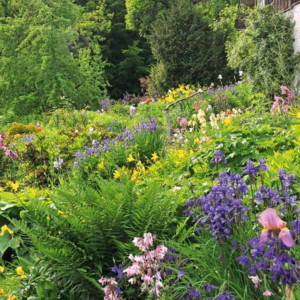 Mein Naturgarten