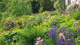 Mein Naturgarten