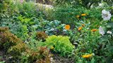 Mein Naturgarten