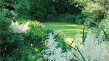 Mein Naturgarten