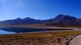 Laguna Miscanti