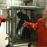 Unterwegs im Rollwagen