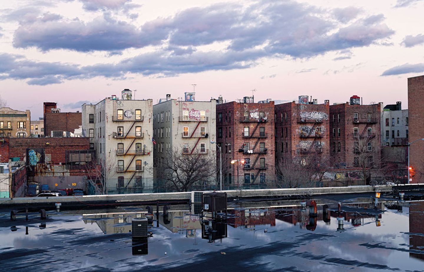 Auf den Dächern der Bronx