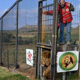 Neues Zuhause für Löwenfamilie - Bild 10