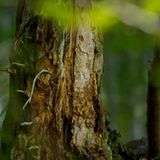 Hotspot der Artenvielfalt