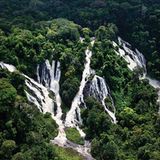 Kino: Kinotipp: Schimpansen - Bild 3