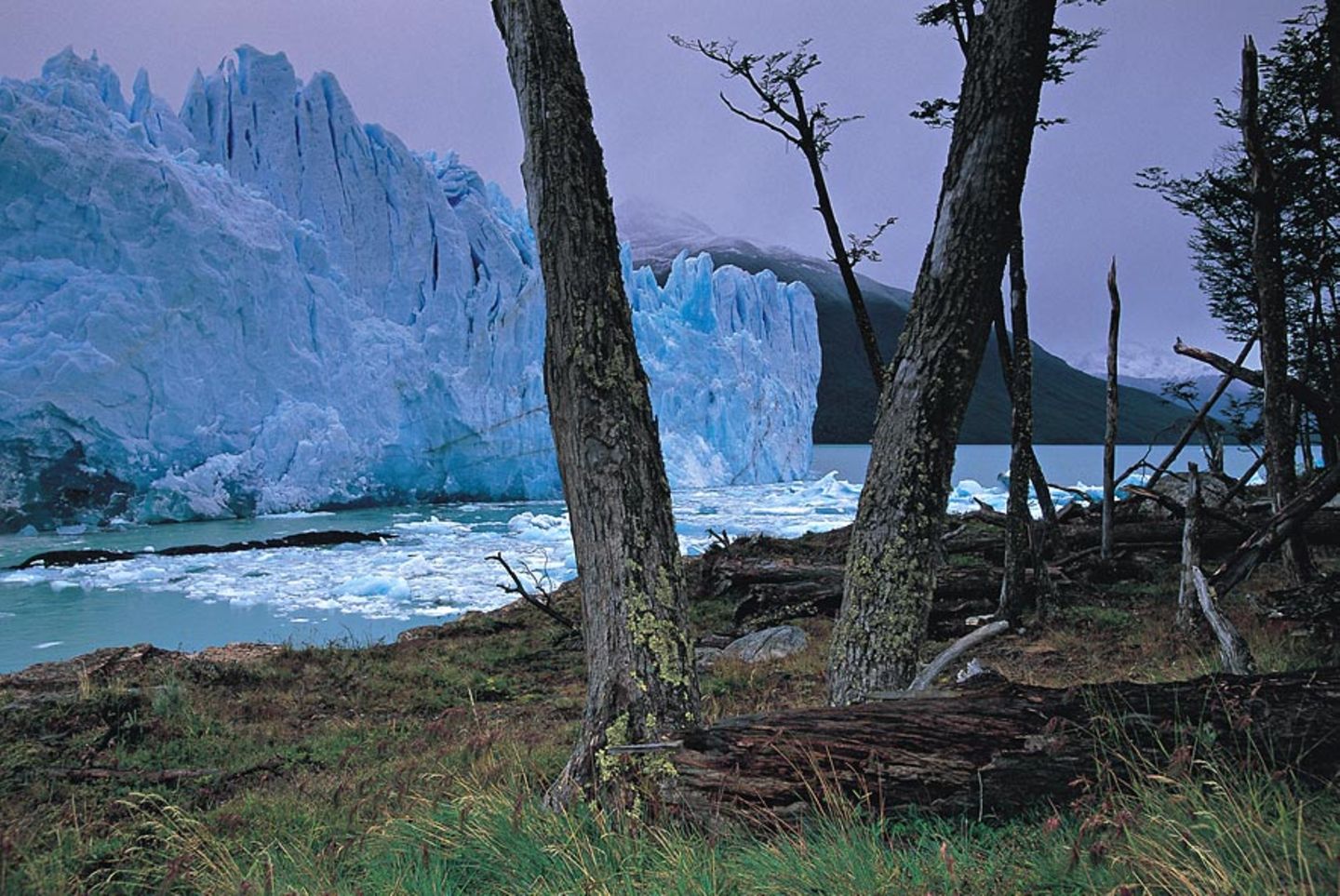 Perito-Moreno-Gletscher