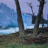 Perito-Moreno-Gletscher