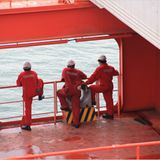 Ein letzter Blick auf das Festland