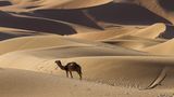 Erg Chebbi