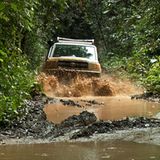 INTERVIEW: Kinostart: "Schimpansen" - Bild 3