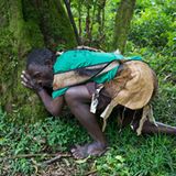 Fotogalerie: Der Batwa-Trail