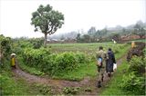Fotogalerie: Der Batwa-Trail - Bild 3